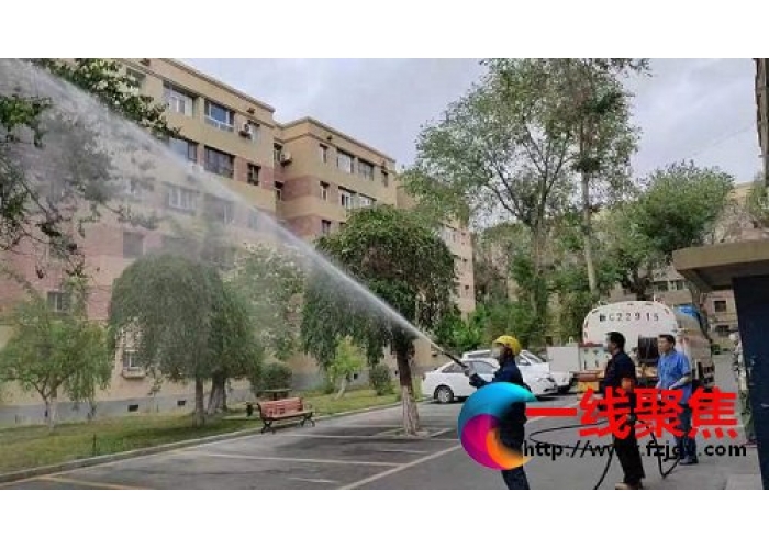 加大病虫害防治力度 为石城保住片片绿荫