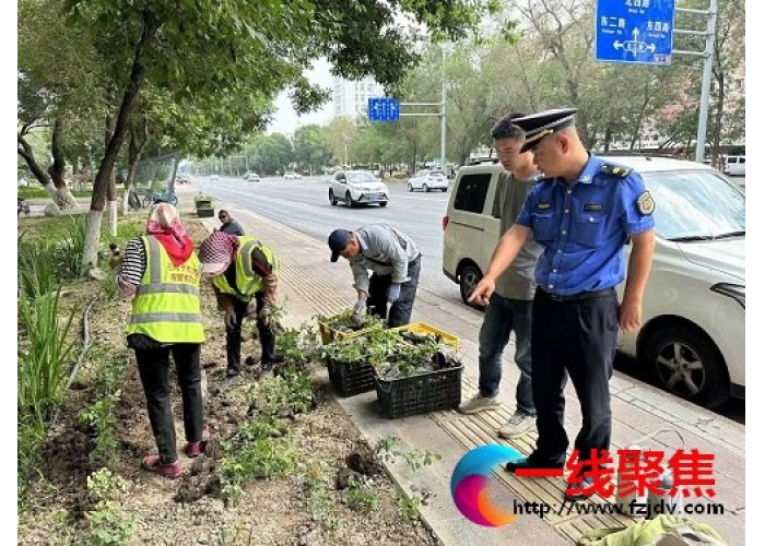 “增花添彩”扮靓城市 助力生态园林城市创建