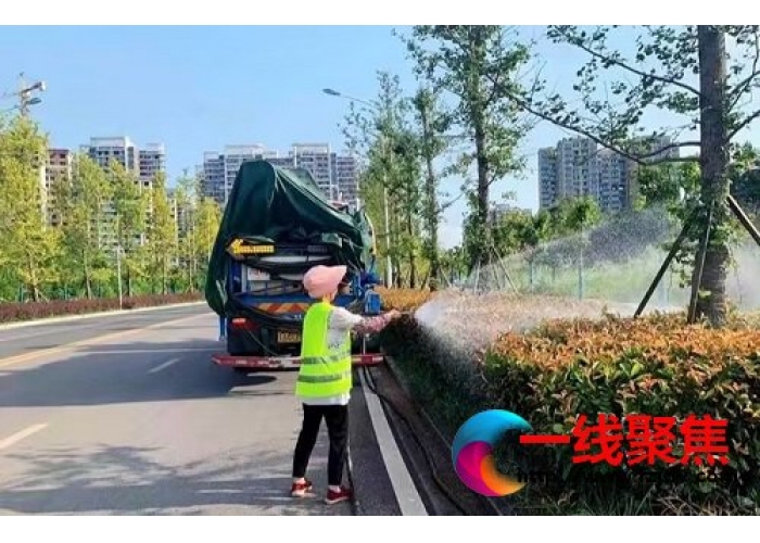 园林工人　“暑”你最美
