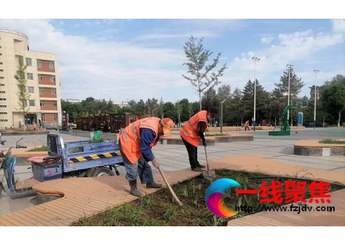 “加减乘除” 满城尽带夏日绿