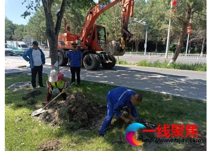 全面整治黄土裸露  提升园林绿化水平