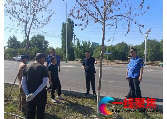 新疆石河子园林绿化养护中心持续开展死树枯枝整治行动 助力生态园林城市创