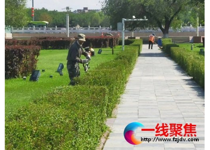 修剪绿篱　美化环境　为城市添彩提靓