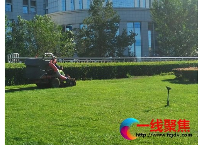 园林工人　“暑”你最美