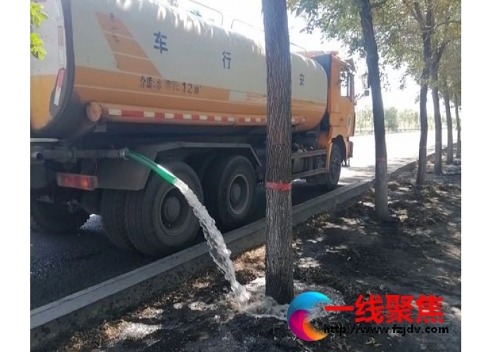 强举措提质效  绿化养护当夏忙