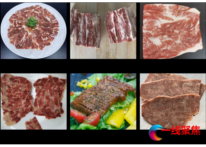创新技术通过国际领先评定新素食植物肉引领健康未来