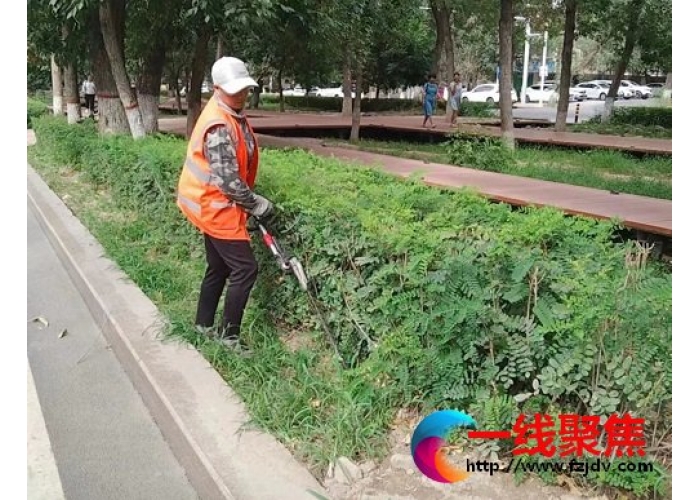 强化绿化养护  扮靓城市风景