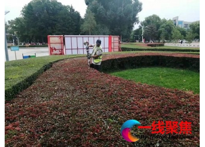 绿化管养再提升  城市“颜值”更靓丽