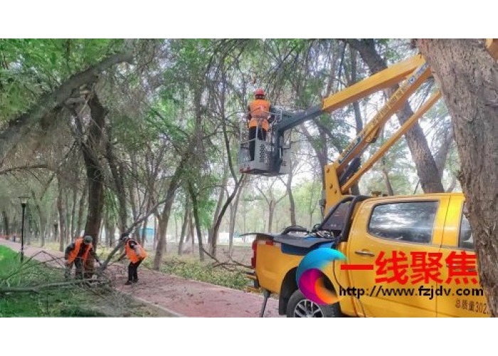 新疆石河子城管局园林绿化养护中心积极做好秋季树木修剪工作
