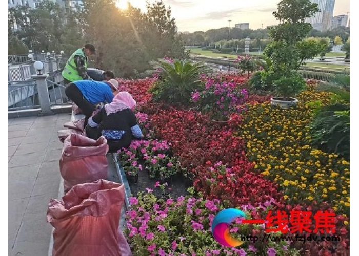 用鲜花扮靓城市 