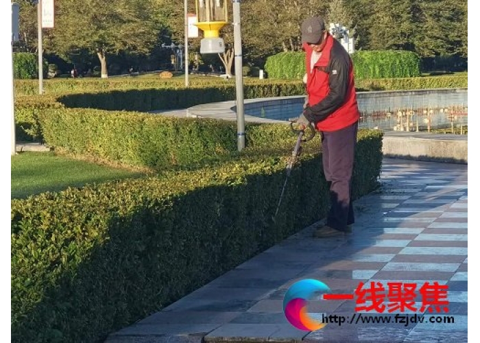 秋季养护好时节　 绿化提升不停歇