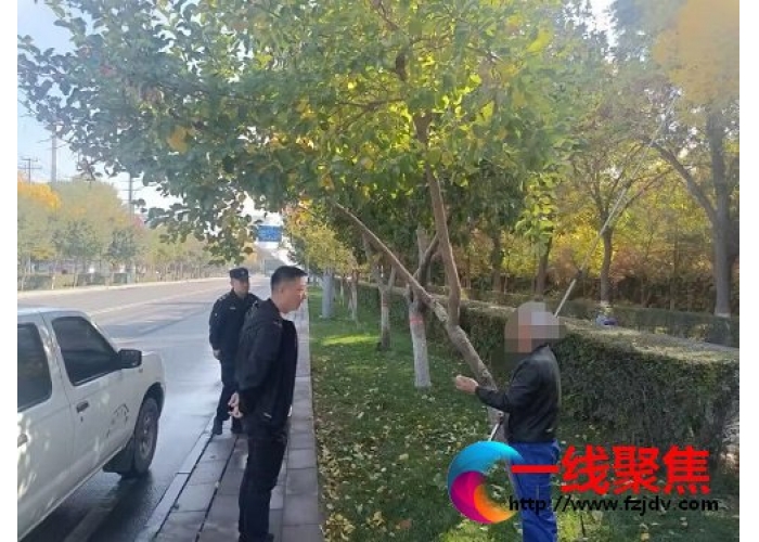 新疆城管局园林绿化养护中心对不文明采摘行为加大制止力度