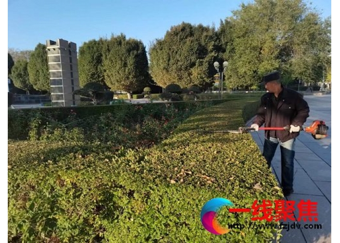 新疆石河子城管局园林绿化养护中心多措并举全方位开展 秋季绿化养护工作