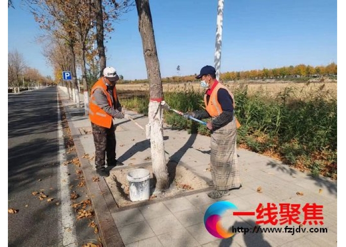 树木涂白靓风景  绿化养护固成果