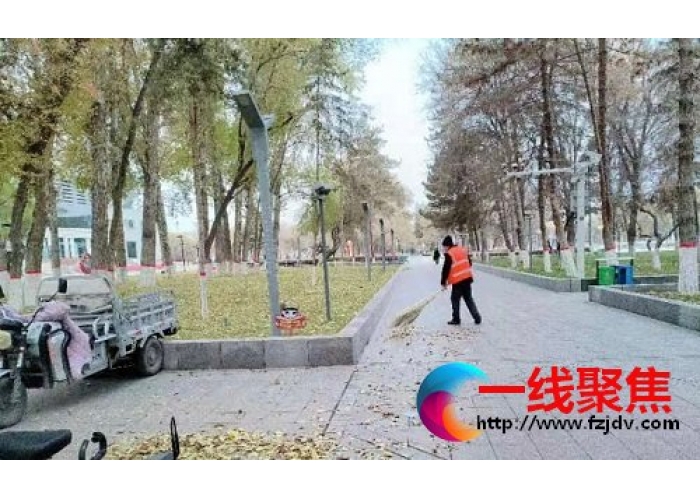 园林绿化养护中心精细化保洁推进 常态化管理