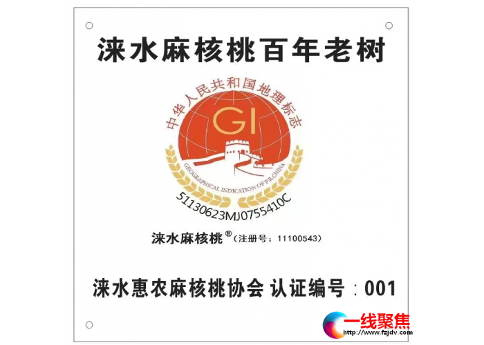 涞水惠农麻核桃协会：评百年老树，奖优秀核农(图文)