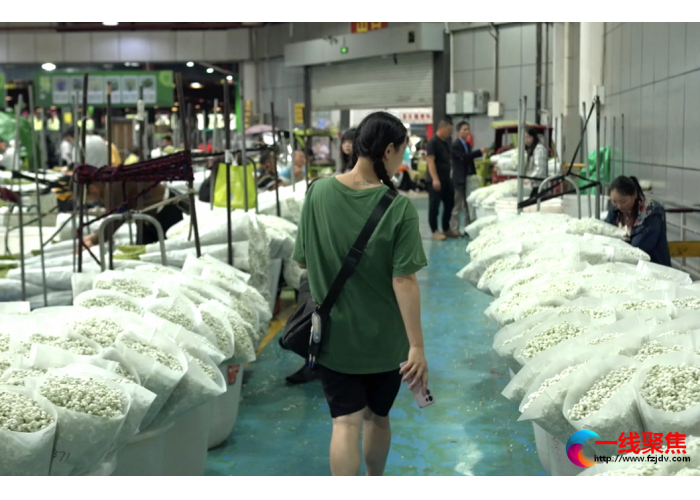 淘宝直播产业带：助力有梦商家实现“自我成长”