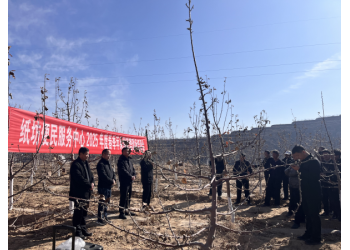 志丹县纸坊便民服务中心召开2025年度春季苹果园管理现场培训会