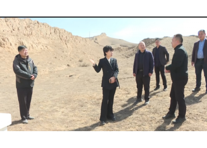 陕西省榆林市靖边县宣传部部长李京津到新城，就长城保护开展调研
