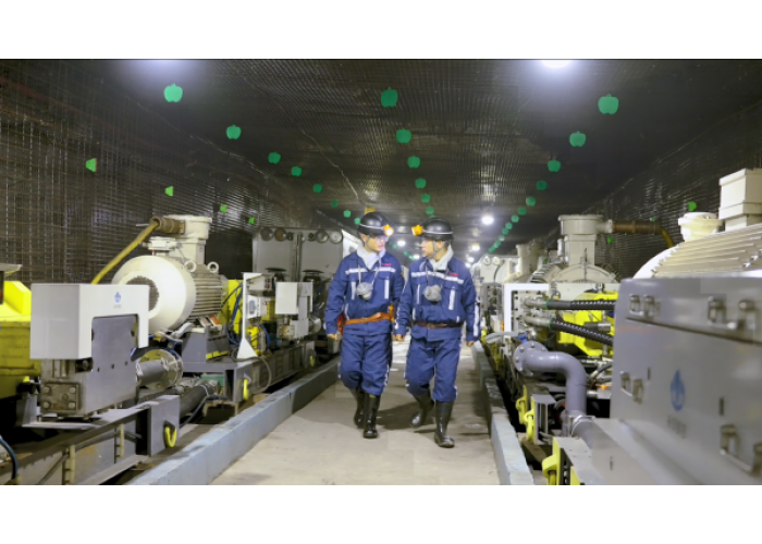 陕煤蒲白建新煤化：以“满格”状态