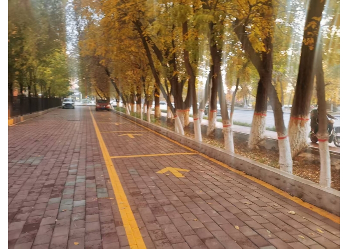 闲置空地“变身”便民停车场 石河子