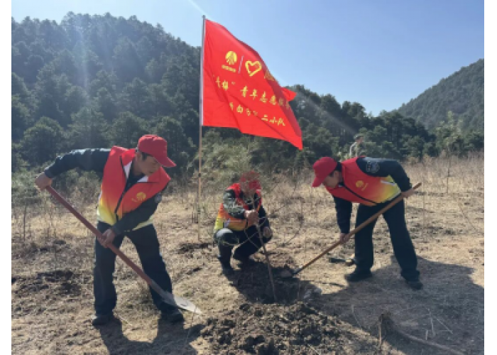 乌金赋能源使命 绿韵绘矿山新景——陕煤蒲白建新煤化公司开展植树护绿志愿