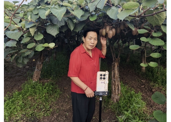 立足乡土深耕特色产业 巾帼吴倩影以