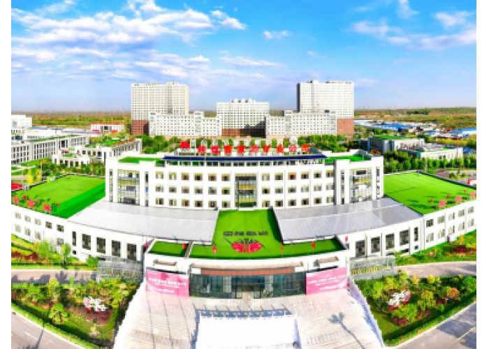 曹家滩矿业胶带运输队党支部：“红